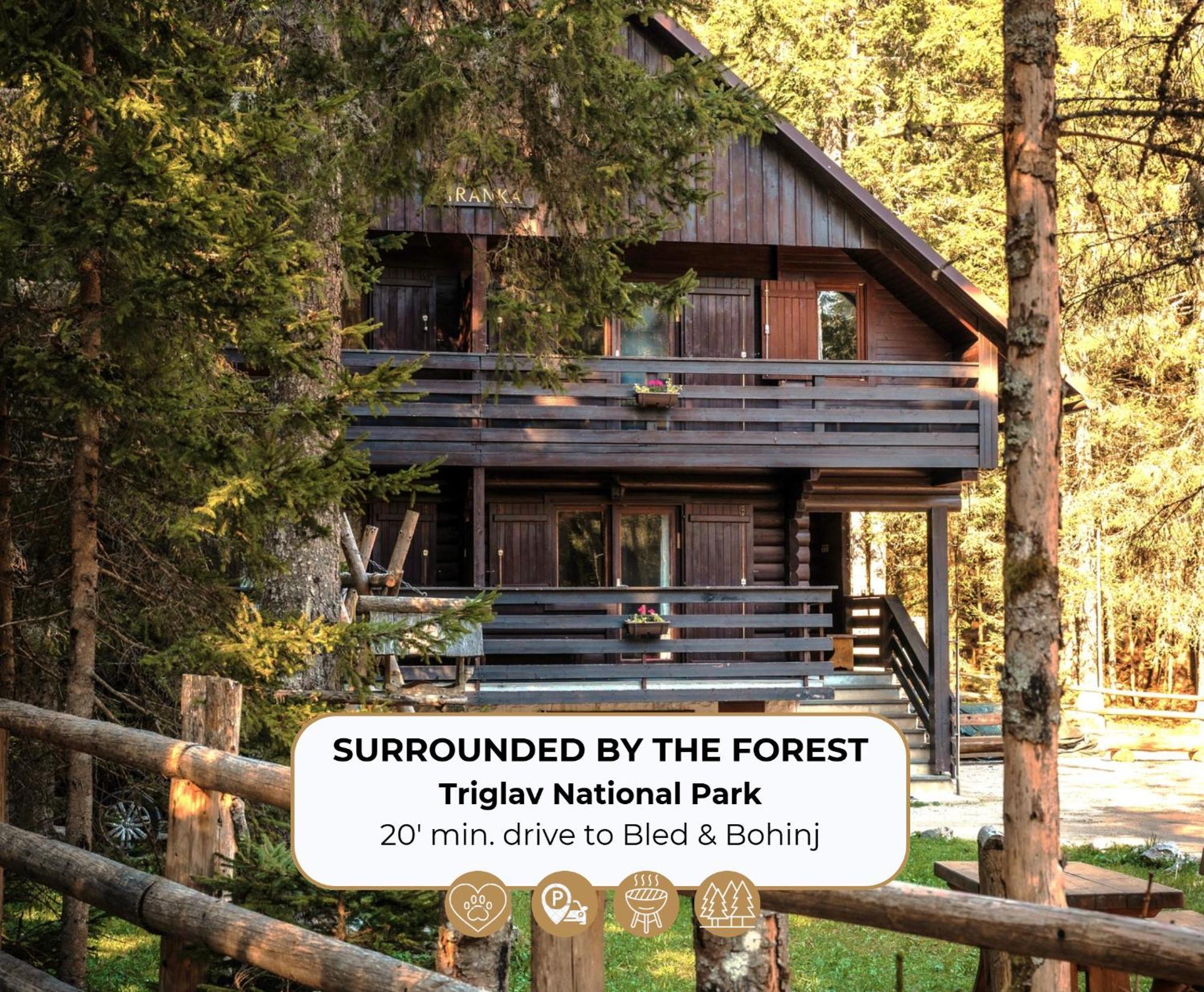 Forest Apartments Pokljuka Zgornje Gorje Exteriér fotografie