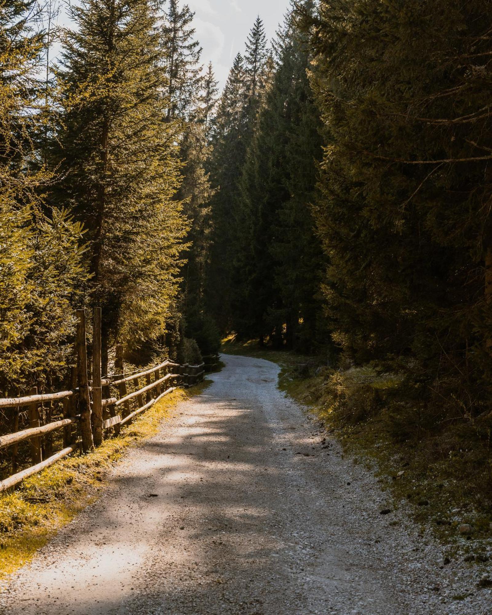Forest Apartments Pokljuka Zgornje Gorje Exteriér fotografie